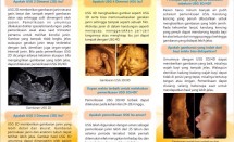 Brosur USG 3D & 4D Permata Hati 2