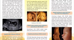 Brosur USG 3D & 4D Permata Hati 2